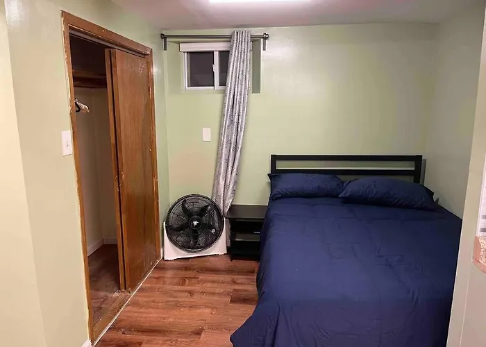 1 Bedroom Basement, Newly Renovated