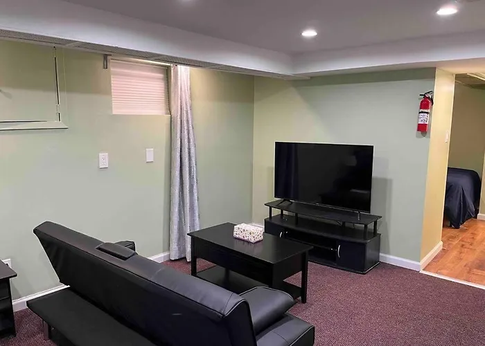 1 Bedroom Basement, Newly Renovated