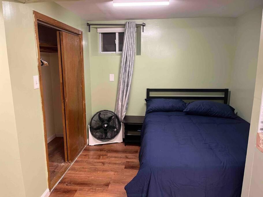 1 Bedroom Basement, Newly Renovated